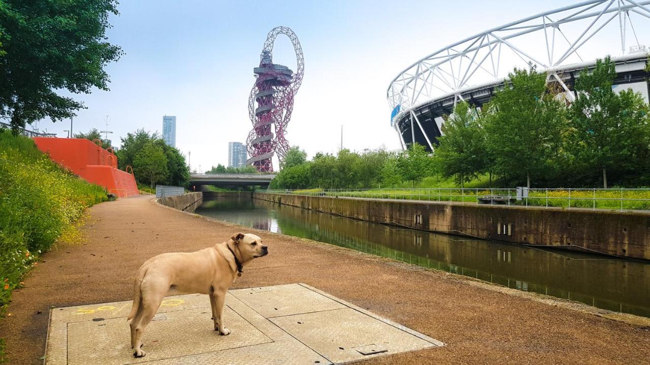 Beautiful Central Home For 6 Near Olympic Park And Abba Theatre London Bagian luar foto